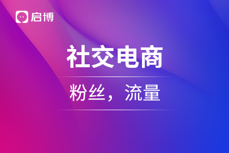 社交電商，粉絲，流量